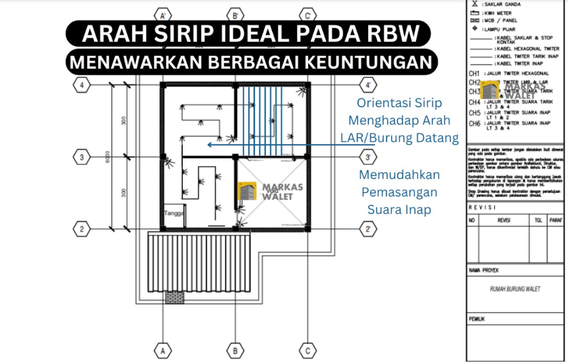 Diagram arah orientasi sirip ideal pada RBW